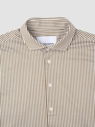 Classic Shirt Shadow Brown Stripe Regular