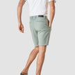 Classic Shorts Calm Green